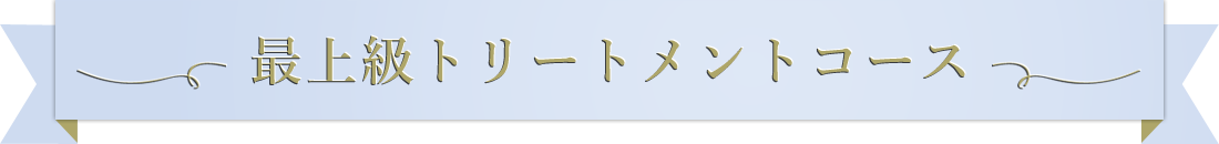 最上級トリートメントコース
