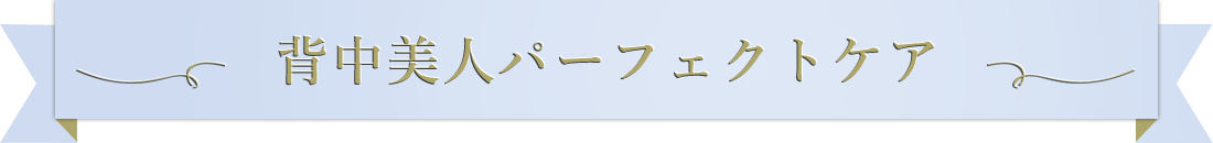 背中美人パーフェクトケア