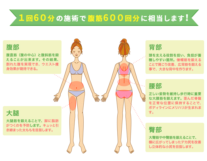１回３０分の施術で腹筋３００回分に相当します！