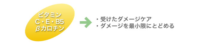 ビタミンC・E・B5・ベータカロチン