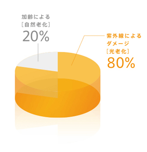 ブリリアントスキンプログラム