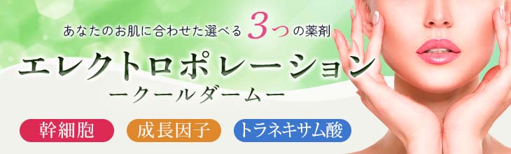 エレクトロポレーション（クールダーム）