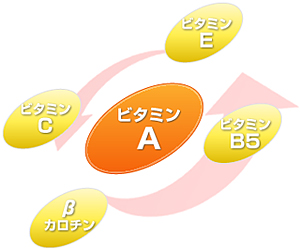ビタミンの役割