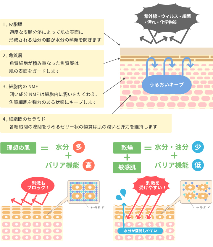 センシティブプログラム