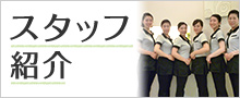 スタッフ紹介