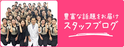 スタッフブログ