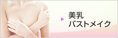 美乳・バストメイク